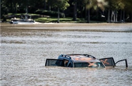 Nhiều thành phố lớn của Mỹ có nguy cơ biến mất